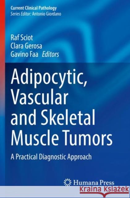 Adipocytic, Vascular and Skeletal Muscle Tumors: A Practical Diagnostic Approach Sciot, Raf 9783030374624