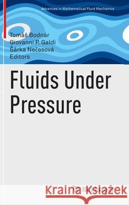 Fluids Under Pressure Tomas Bodnar Giovanni P. Galdi Sarka Nečasova 9783030396381 Birkhauser