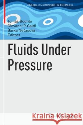 Fluids Under Pressure Bodn Giovanni P. Galdi S 9783030396411 Birkhauser