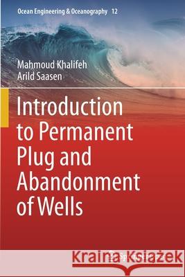 Introduction to Permanent Plug and Abandonment of Wells Mahmoud Khalifeh Arild Saasen  9783030399726 Springer