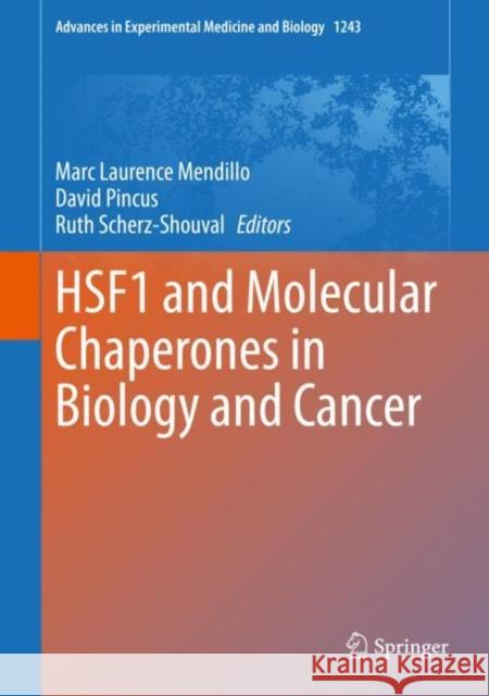 Hsf1 and Molecular Chaperones in Biology and Cancer Mendillo, Marc Laurence 9783030402037 Springer