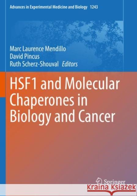 Hsf1 and Molecular Chaperones in Biology and Cancer Marc Laurence Mendillo David Pincus Ruth Scherz-Shouval 9783030402068 Springer