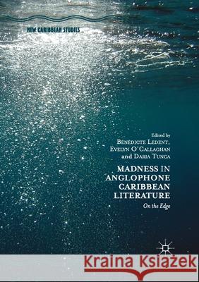 Madness in Anglophone Caribbean Literature: On the Edge Ledent, Benedicte 9783030405335