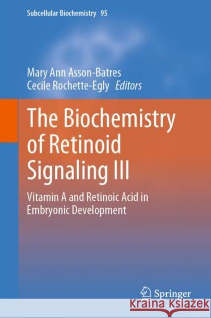 The Biochemistry of Retinoid Signaling III: Vitamin A and Retinoic Acid in Embryonic Development Asson-Batres, Mary Ann 9783030422806 Springer