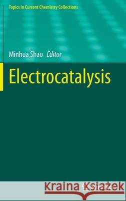 Electrocatalysis Minhua Shao 9783030432935 Springer