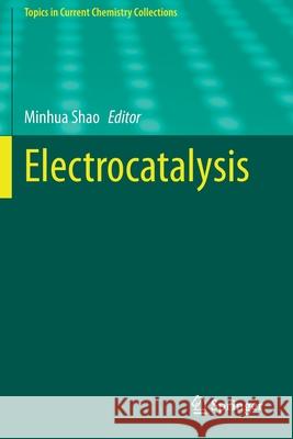 Electrocatalysis Minhua Shao 9783030432966 Springer