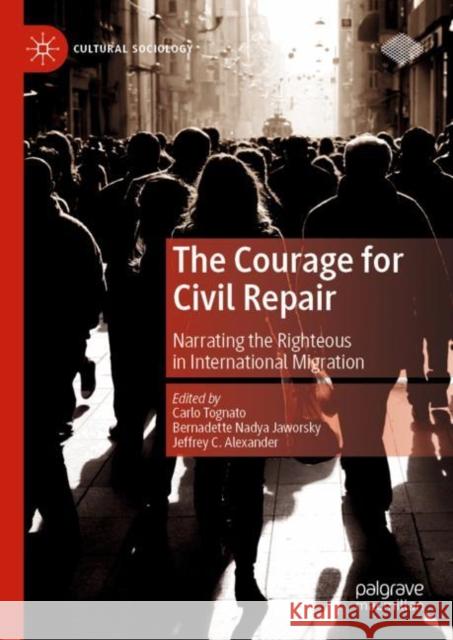 The Courage for Civil Repair: Narrating the Righteous in International Migration Tognato, Carlo 9783030445898 Palgrave MacMillan