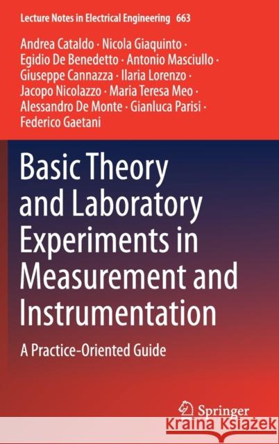 Basic Theory and Laboratory Experiments in Measurement and Instrumentation: A Practice-Oriented Guide Cataldo, Andrea 9783030467395 Springer