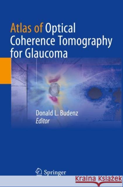 Atlas of Optical Coherence Tomography for Glaucoma Donald L. Budenz 9783030467944
