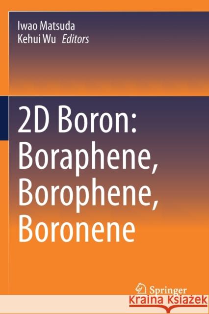 2D Boron: Boraphene, Borophene, Boronene Iwao Matsuda Kehui Wu 9783030500016