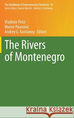 The Rivers of Montenegro Vladimir Pesic Momir Paunovic Andrey G. Kostianoy 9783030557119 Springer