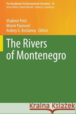 The Rivers of Montenegro Vladimir Pesic Momir Paunovic Andrey G. Kostianoy 9783030557140 Springer