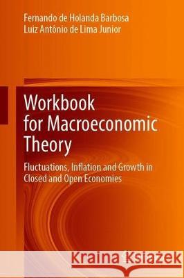 Workbook for Macroeconomic Theory: Fluctuations, Inflation and Growth in Closed and Open Economies Fernando De Holanda Barbosa Luiz Ant 9783030615475 Springer