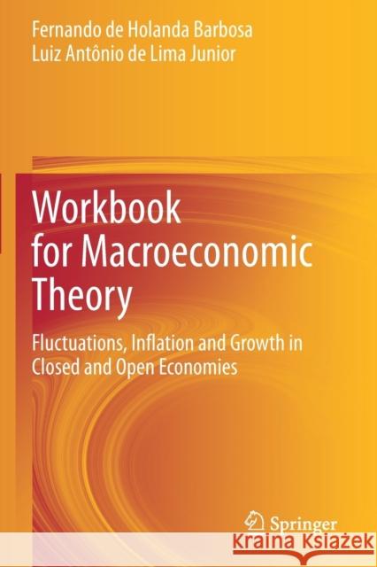 Workbook for Macroeconomic Theory: Fluctuations, Inflation and Growth in Closed and Open Economies Fernando De Holanda Barbosa Luiz Ant 9783030615505 Springer