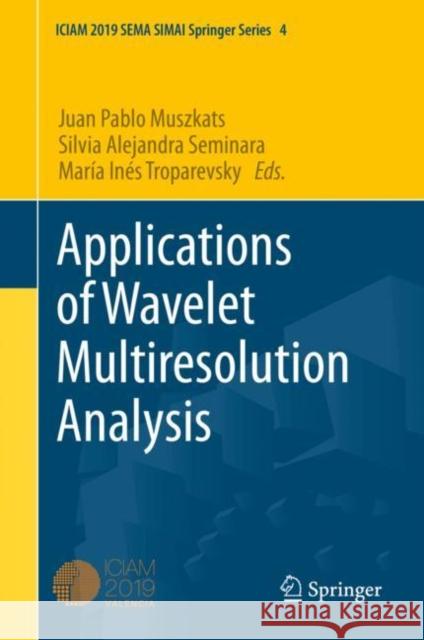 Applications of Wavelet Multiresolution Analysis Maria Ines Troparevsky Juan Pablo Muszkats Silvia Alejandra Seminara 9783030617127 Springer