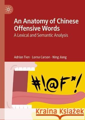 An Anatomy of Chinese Offensive Words: A Lexical and Semantic Analysis Tien, Adrian 9783030634773 Springer International Publishing