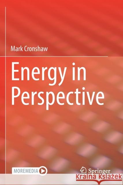 Energy in Perspective Mark Cronshaw 9783030635435 Springer