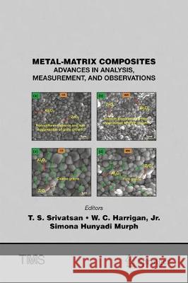 Metal-Matrix Composites: Advances in Analysis, Measurement, and Observations Srivatsan, T. S. 9783030652487