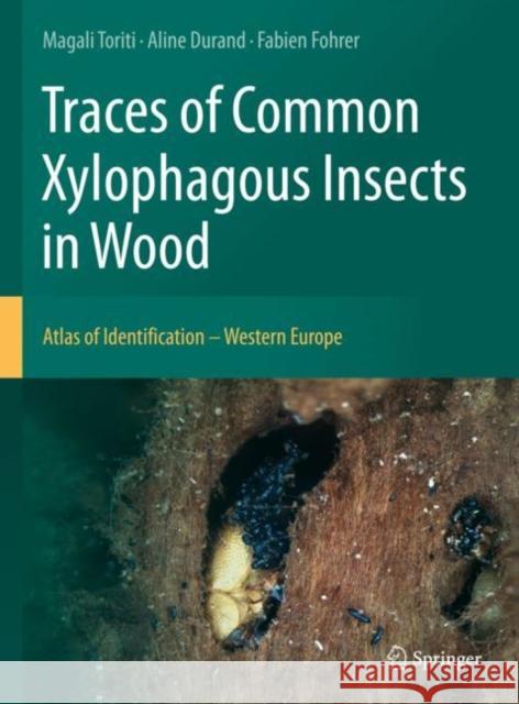 Traces of Common Xylophagous Insects in Wood: Atlas of Identification - Western Europe Magali Toriti Aline Durand Fabien Fohrer 9783030663902 Springer