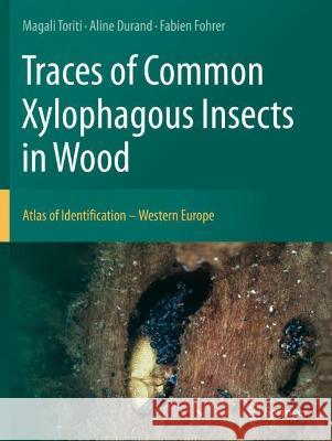 Traces of Common Xylophagous Insects in Wood: Atlas of Identification - Western Europe Toriti, Magali 9783030663933 Springer International Publishing