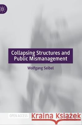 Collapsing Structures and Public Mismanagement Wolfgang Seibel 9783030678173