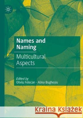Names and Naming: Multicultural Aspects Felecan, Oliviu 9783030731885 Springer International Publishing