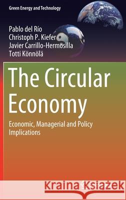 The Circular Economy: Economic, Managerial and Policy Implications Pablo De Christoph P. Kiefer Javier Carrillo-Hermosilla 9783030747916 Springer