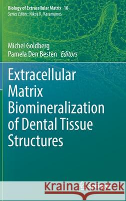 Extracellular Matrix Biomineralization of Dental Tissue Structures Michel Goldberg Pamela De 9783030762827 Springer