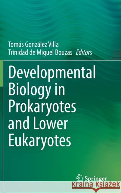 Developmental Biology in Prokaryotes and Lower Eukaryotes Tom Villa Trinidad d 9783030775940 Springer