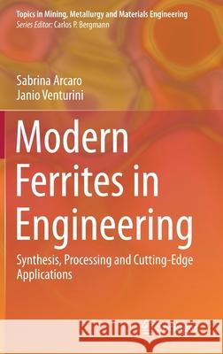 Modern Ferrites in Engineering: Synthesis, Processing and Cutting-Edge Applications Sabrina Arcaro Janio Venturini 9783030789879 Springer