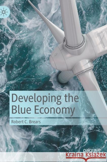 Developing the Blue Economy Robert C. Brears 9783030842154 Palgrave MacMillan