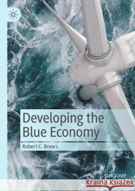 Developing the Blue Economy Robert C. Brears 9783030842185 Springer International Publishing