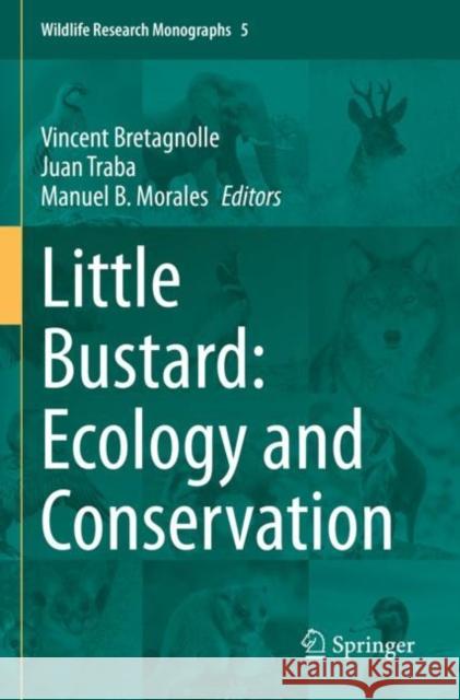 Little Bustard: Ecology and Conservation Vincent Bretagnolle Juan Traba Manuel B. Morales 9783030849047 Springer