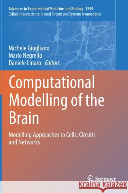 Computational Modelling of the Brain: Modelling Approaches to Cells, Circuits and Networks Giugliano, Michele 9783030894382