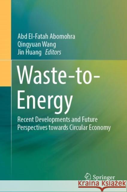 Waste-To-Energy: Recent Developments and Future Perspectives Towards Circular Economy Abomohra, Abd El-Fatah 9783030915698