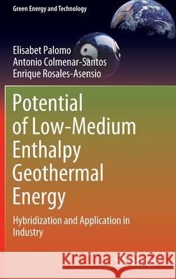 Potential of Low-Medium Enthalpy Geothermal Energy: Hybridization and Application in Industry Palomo, Elisabet 9783030956257 Springer International Publishing