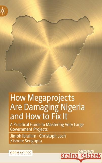 How Megaprojects Are Damaging Nigeria and How to Fix It: A Practical Guide to Mastering Very Large Government Projects Ibrahim, Jimoh 9783030964733 Springer Nature Switzerland AG