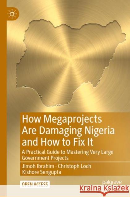 How Megaprojects Are Damaging Nigeria and How to Fix It: A Practical Guide to Mastering Very Large Government Projects Ibrahim, Jimoh 9783030964764 Springer Nature Switzerland AG