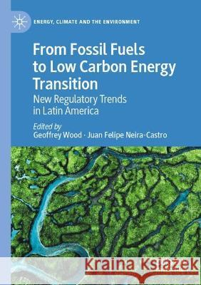From Fossil Fuels to Low Carbon Energy Transition  9783031003011 Springer International Publishing