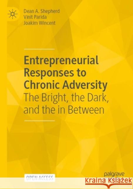 Entrepreneurial Responses to Chronic Adversity: The Bright, the Dark, and the in Between Shepherd, Dean A. 9783031048838