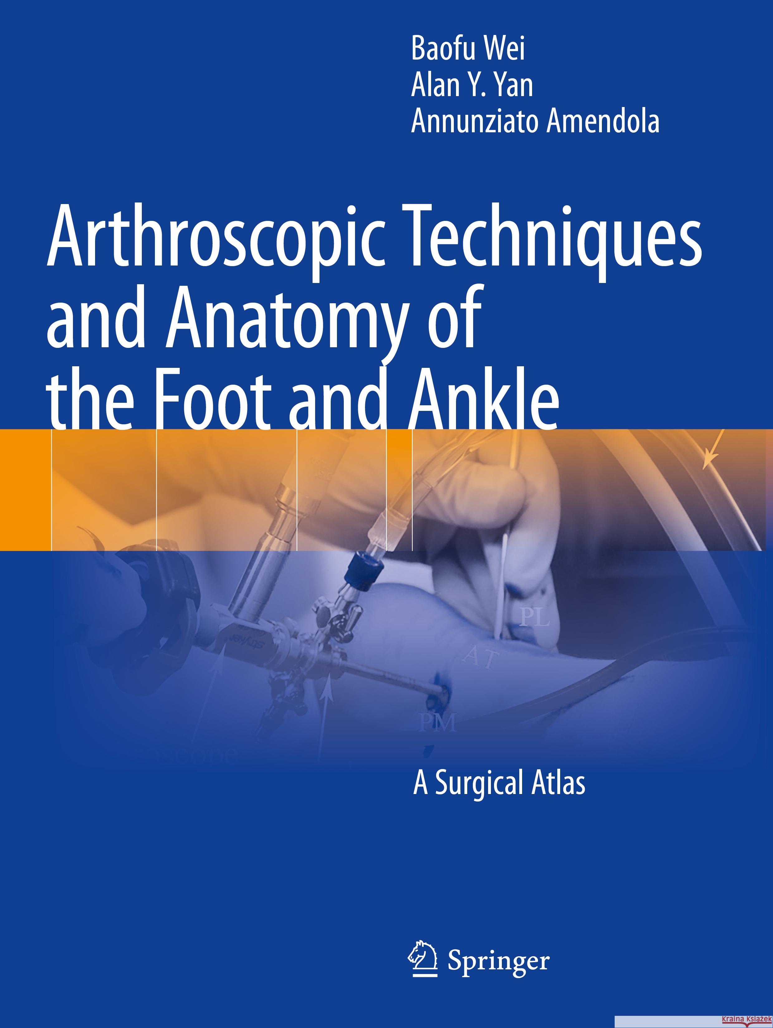 Arthroscopic Techniques and Anatomy of the Foot and Ankle Baofu Wei, Alan Y. Yan, Annunziato Amendola 9783031051920