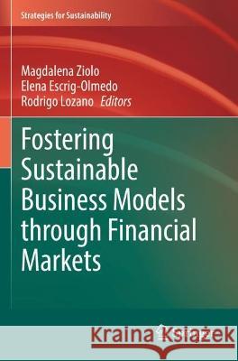 Fostering Sustainable Business Models through Financial Markets  9783031074004 Springer International Publishing