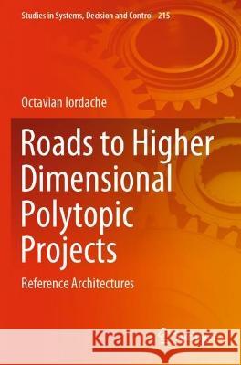 Roads to Higher Dimensional Polytopic Projects Octavian Iordache 9783031079825 Springer International Publishing
