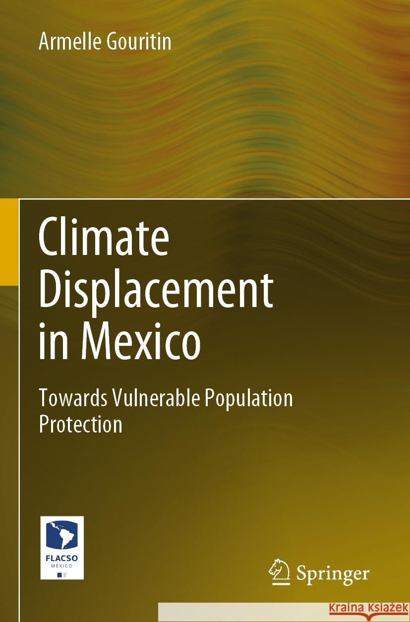 Climate Displacement in Mexico Armelle Gouritin 9783031103377 Springer International Publishing