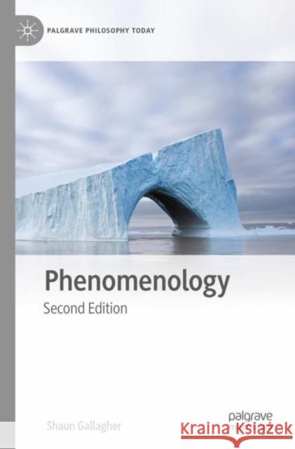 Phenomenology Shaun Gallagher 9783031115851 Springer International Publishing