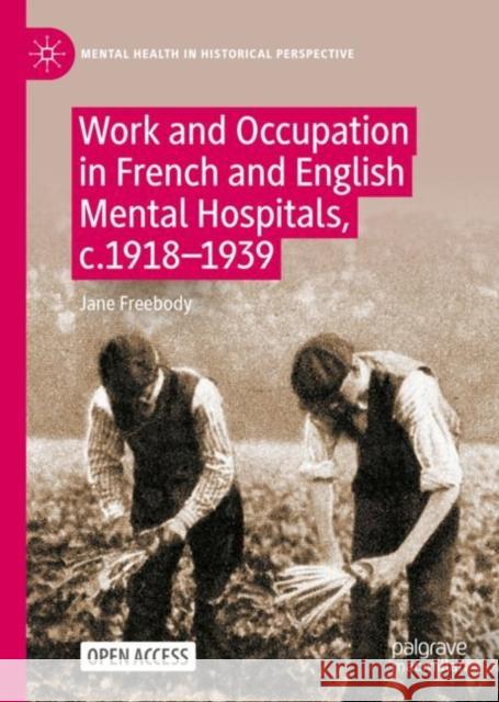 Work and Occupation in French and English Mental Hospitals,  c.1918-1939 Jane Freebody 9783031131042 Palgrave MacMillan