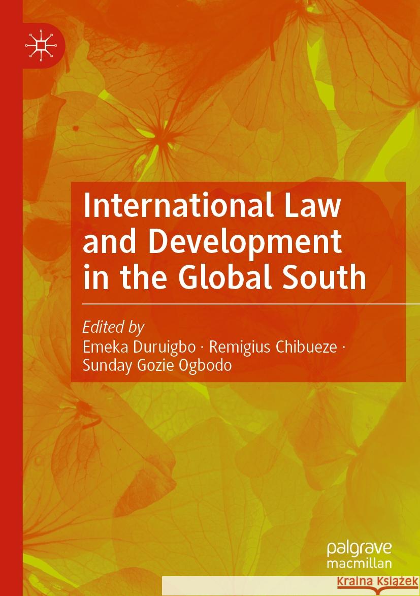 International Law and Development in the Global South Emeka Duruigbo Remigius Chibueze Sunday Gozi 9783031137433