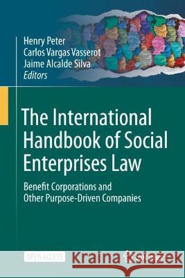 The International Handbook of Social Enterprise Law: Benefit Corporations and Other Purpose-Driven Companies Henry Peter Carlos Varga Jaime Alcald 9783031142185 Springer