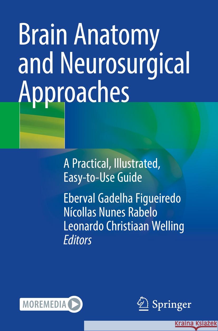 Brain Anatomy and Neurosurgical Approaches  9783031148224 Springer International Publishing