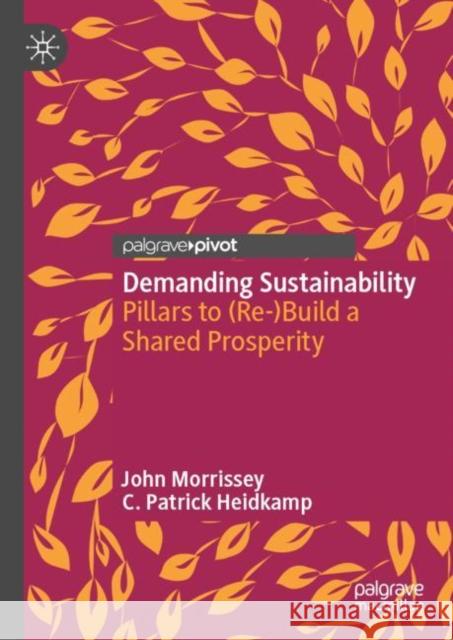 Demanding Sustainability: Pillars to (Re-)Build a Shared Prosperity John Morrissey C. Patrick Heidkamp 9783031189579 Palgrave MacMillan
